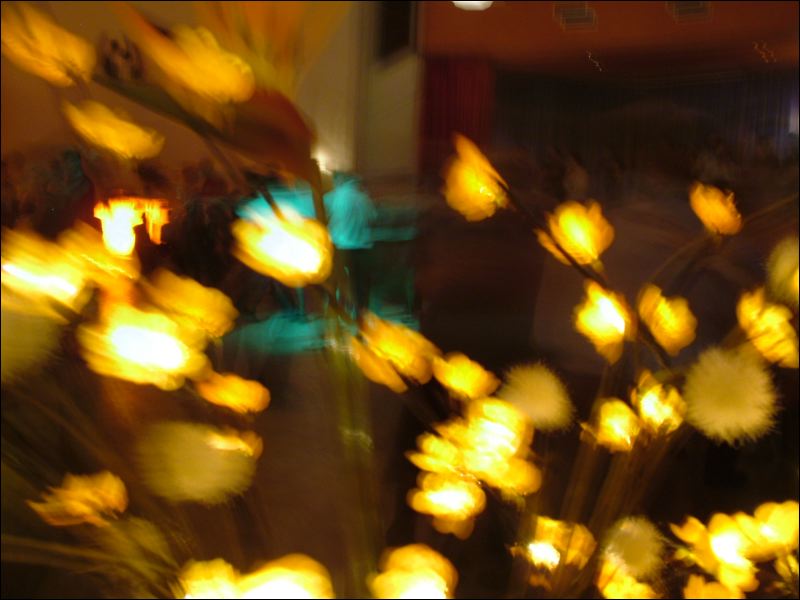 dscf9616.jpg